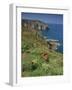 Landscape of Cliffs Along the Coastline at Cap Frehel, Cote D'Emeraude, in Brittany, France, Europe-Michael Busselle-Framed Photographic Print