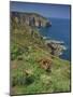 Landscape of Cliffs Along the Coastline at Cap Frehel, Cote D'Emeraude, in Brittany, France, Europe-Michael Busselle-Mounted Photographic Print