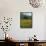 Landscape of Field of Sunflowers Near Ferrassieres in the Drome, Rhone-Alpes, France, Europe-Michael Busselle-Framed Stretched Canvas displayed on a wall