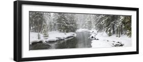 Landscape of Firehole River in forest, Upper Geyser Basin, Yellowstone National Park, Wyoming, USA-Panoramic Images-Framed Photographic Print