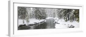 Landscape of Firehole River in forest, Upper Geyser Basin, Yellowstone National Park, Wyoming, USA-Panoramic Images-Framed Photographic Print