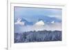 Landscape of forest and snow mountain, Haines, Alaska, USA-Keren Su-Framed Photographic Print