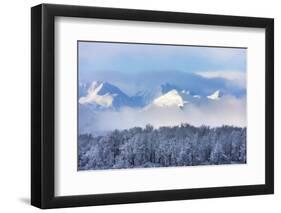 Landscape of forest and snow mountain, Haines, Alaska, USA-Keren Su-Framed Photographic Print