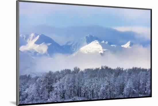 Landscape of forest and snow mountain, Haines, Alaska, USA-Keren Su-Mounted Photographic Print