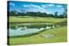 Landscape of Golf Links-WizData-Stretched Canvas