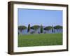 Landscape of Green Field, Parasol Pines and Cypress Trees, Province of Grosseto, Tuscany, Italy-Morandi Bruno-Framed Photographic Print