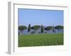 Landscape of Green Field, Parasol Pines and Cypress Trees, Province of Grosseto, Tuscany, Italy-Morandi Bruno-Framed Photographic Print