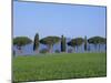 Landscape of Green Field, Parasol Pines and Cypress Trees, Province of Grosseto, Tuscany, Italy-Morandi Bruno-Mounted Photographic Print