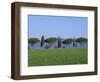 Landscape of Green Field, Parasol Pines and Cypress Trees, Province of Grosseto, Tuscany, Italy-Morandi Bruno-Framed Photographic Print