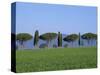 Landscape of Green Field, Parasol Pines and Cypress Trees, Province of Grosseto, Tuscany, Italy-Morandi Bruno-Stretched Canvas