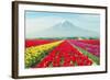 Landscape of Japan Tulips with Mt.Fuji in Japan.-Prasit Rodphan-Framed Photographic Print