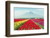 Landscape of Japan Tulips with Mt.Fuji in Japan.-Prasit Rodphan-Framed Photographic Print