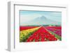 Landscape of Japan Tulips with Mt.Fuji in Japan.-Prasit Rodphan-Framed Photographic Print