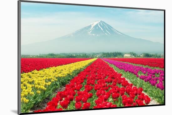 Landscape of Japan Tulips with Mt.Fuji in Japan.-Prasit Rodphan-Mounted Photographic Print