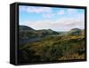 Landscape of Killarney National Park-Leslie Richard Jacobs-Framed Stretched Canvas