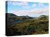 Landscape of Killarney National Park-Leslie Richard Jacobs-Stretched Canvas