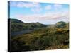 Landscape of Killarney National Park-Leslie Richard Jacobs-Stretched Canvas