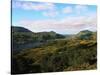 Landscape of Killarney National Park-Leslie Richard Jacobs-Stretched Canvas