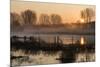 Landscape of Lake in Mist with Sun Glow at Sunrise-Veneratio-Mounted Photographic Print