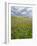 Landscape of Lewis Island, Scotland-Martin Zwick-Framed Photographic Print
