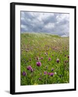 Landscape of Lewis Island, Scotland-Martin Zwick-Framed Photographic Print