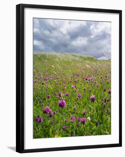 Landscape of Lewis Island, Scotland-Martin Zwick-Framed Photographic Print