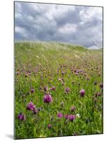 Landscape of Lewis Island, Scotland-Martin Zwick-Mounted Photographic Print