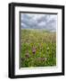 Landscape of Lewis Island, Scotland-Martin Zwick-Framed Photographic Print