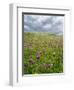 Landscape of Lewis Island, Scotland-Martin Zwick-Framed Photographic Print