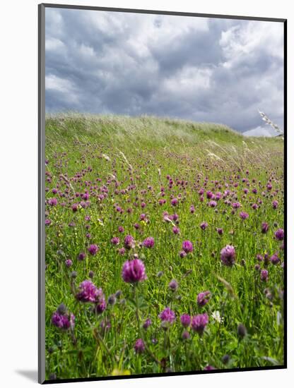 Landscape of Lewis Island, Scotland-Martin Zwick-Mounted Photographic Print