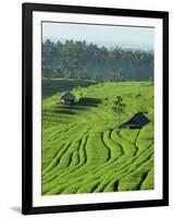 Landscape of Lush Green Rice Terraces on Bali, Indonesia, Southeast Asia-Alain Evrard-Framed Photographic Print