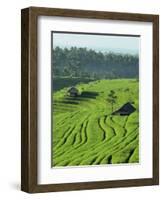 Landscape of Lush Green Rice Terraces on Bali, Indonesia, Southeast Asia-Alain Evrard-Framed Photographic Print