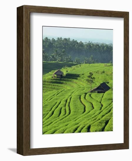 Landscape of Lush Green Rice Terraces on Bali, Indonesia, Southeast Asia-Alain Evrard-Framed Photographic Print