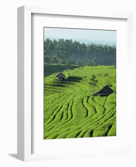 Landscape of Lush Green Rice Terraces on Bali, Indonesia, Southeast Asia-Alain Evrard-Framed Photographic Print