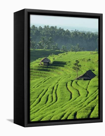 Landscape of Lush Green Rice Terraces on Bali, Indonesia, Southeast Asia-Alain Evrard-Framed Stretched Canvas