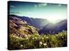 Landscape of Mountains in Spring-andreusK-Stretched Canvas