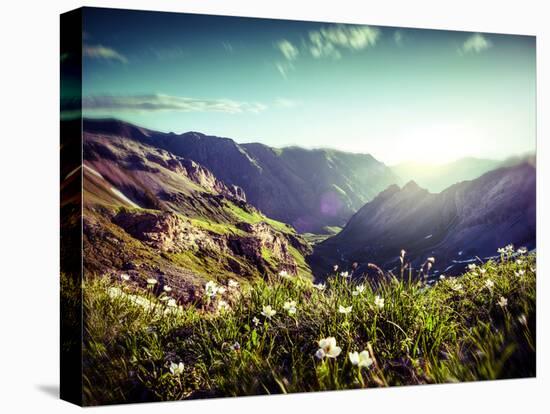 Landscape of Mountains in Spring-andreusK-Stretched Canvas