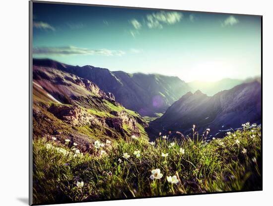 Landscape of Mountains in Spring-andreusK-Mounted Photographic Print