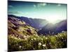 Landscape of Mountains in Spring-andreusK-Mounted Photographic Print