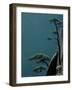 Landscape of Mt. Huangshan (Yellow Mountain), China-Keren Su-Framed Photographic Print