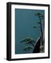 Landscape of Mt. Huangshan (Yellow Mountain), China-Keren Su-Framed Photographic Print