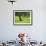 Landscape of Olive Tree and Wild Flowers Near Trujillo, in Extremadura, Spain, Europe-Michael Busselle-Framed Photographic Print displayed on a wall