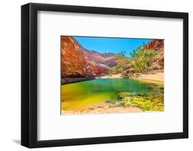 Landscape of Ormiston Gorge Water Hole with ghost gum in West MacDonnell Ranges, Australia-Alberto Mazza-Framed Photographic Print