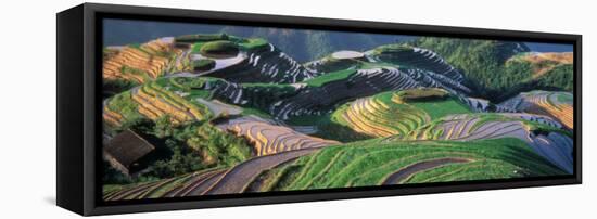 Landscape of Rice Terraces, China-Keren Su-Framed Stretched Canvas