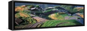 Landscape of Rice Terraces, China-Keren Su-Framed Stretched Canvas