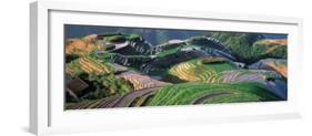 Landscape of Rice Terraces, China-Keren Su-Framed Photographic Print