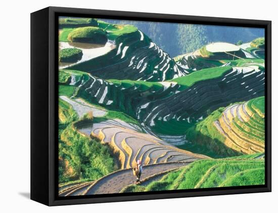 Landscape of Rice Terraces, Guangxi, China-Keren Su-Framed Stretched Canvas