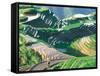 Landscape of Rice Terraces, Guangxi, China-Keren Su-Framed Stretched Canvas