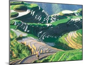 Landscape of Rice Terraces, Guangxi, China-Keren Su-Mounted Premium Photographic Print