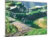 Landscape of Rice Terraces, Guangxi, China-Keren Su-Mounted Photographic Print